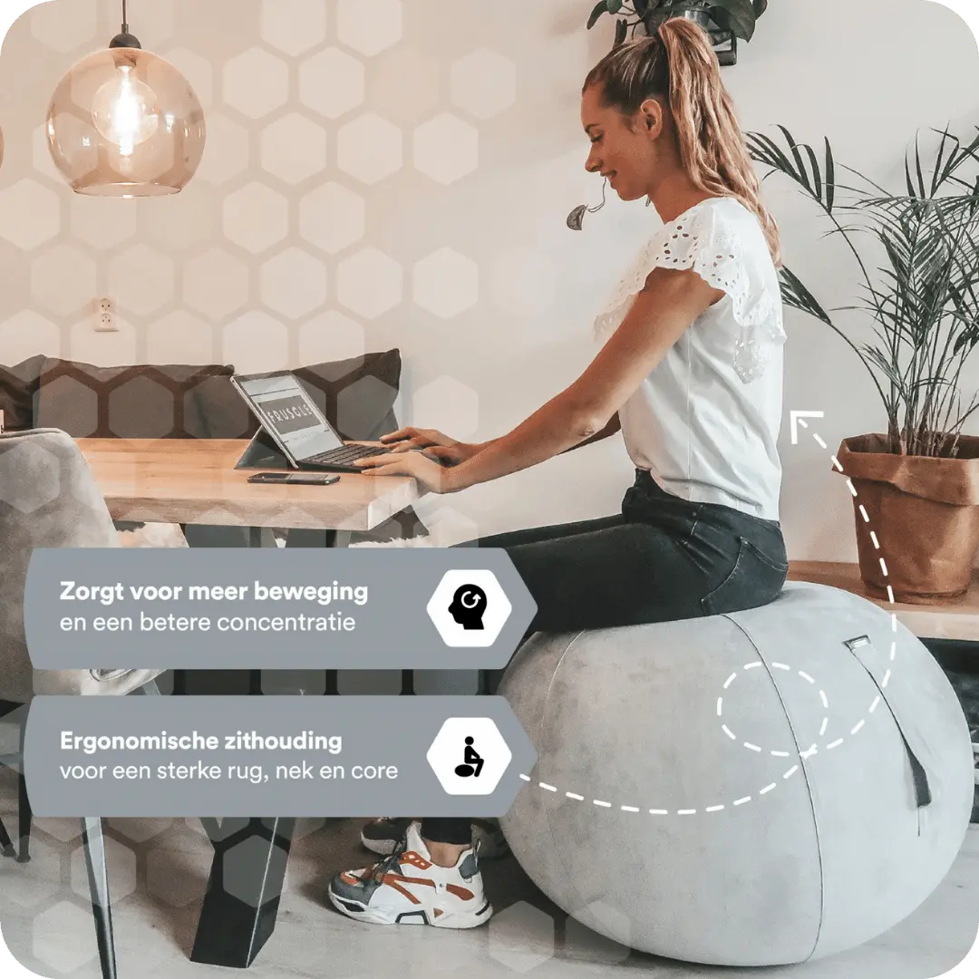 zitbal grijs #kleur_grijs