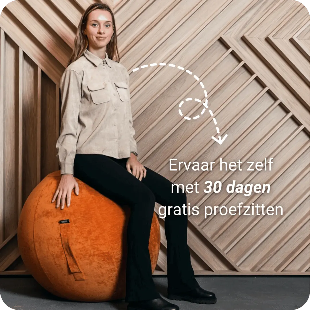 zitbal roest #kleur_roest