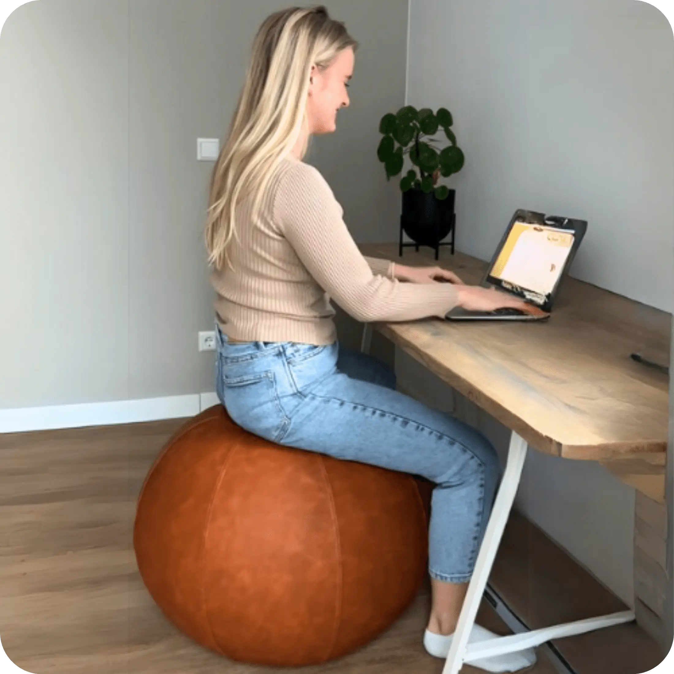 zitbal leer Bruin bruin #kleur_bruin