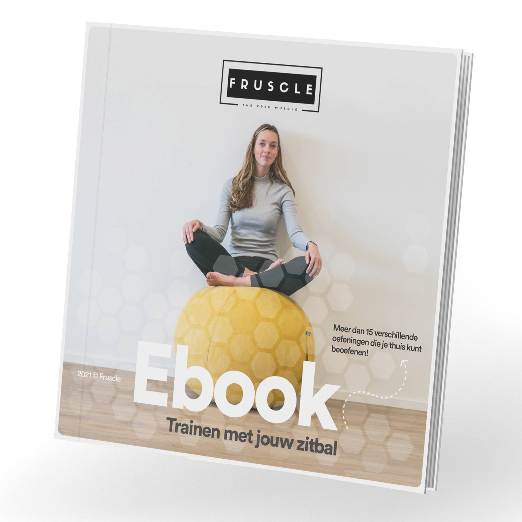 zitbal ebook