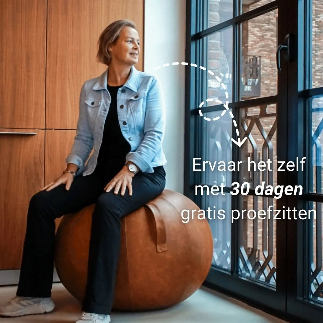 zitbal leer Bruin bruin #kleur_bruin