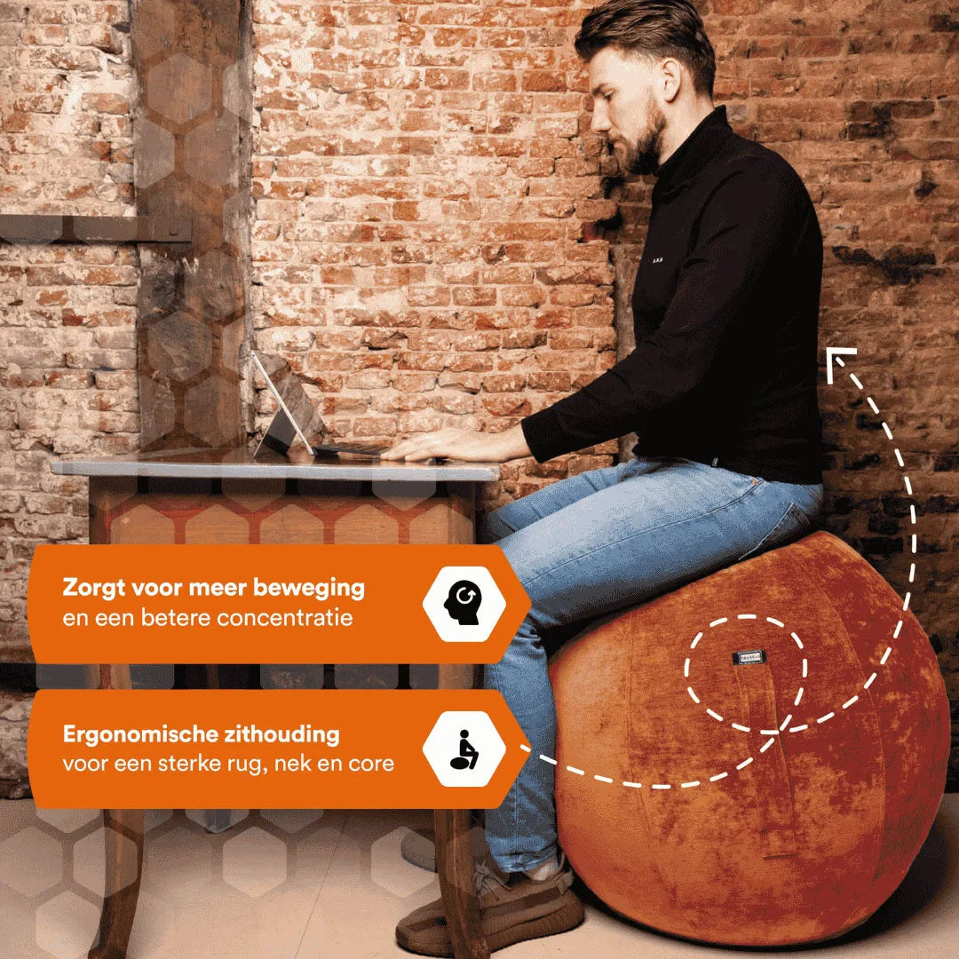 zitbal roest #kleur_roest